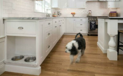 Home Design with Pets in Mind