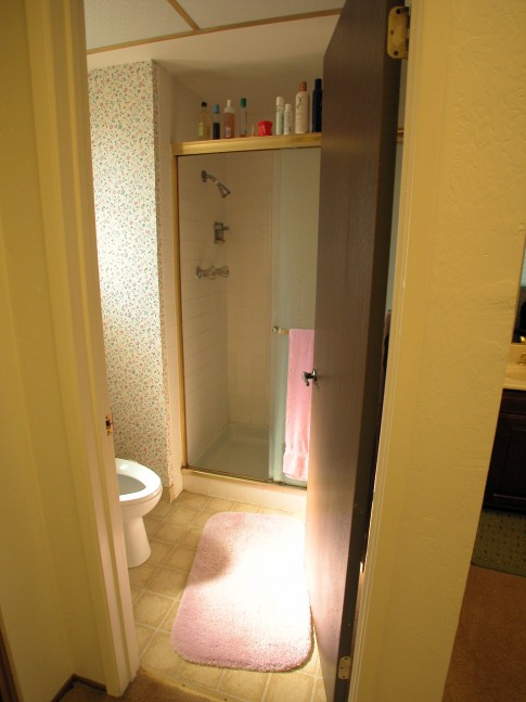 Master Bathroom Shower After Remodel