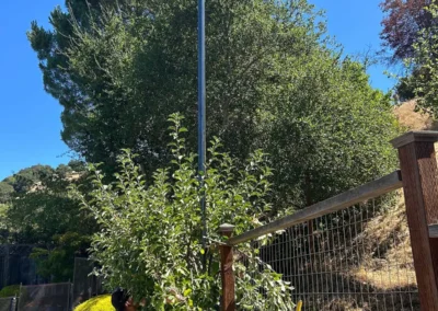 SET POLES