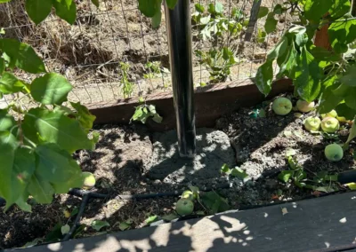 SET POLES