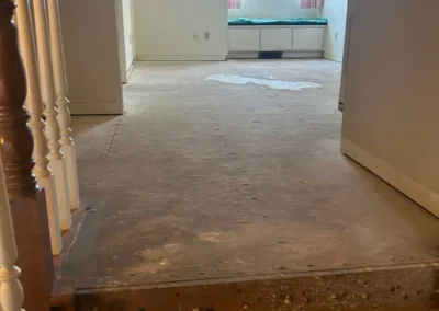Full Whole-House Remodel | Danville, CA - Demo