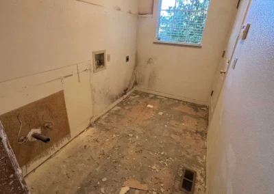 Full Whole-House Remodel | Danville, CA - Demo