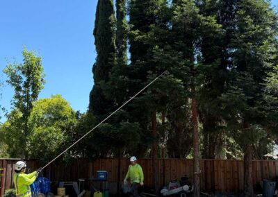 Primary Suite Addition in San Ramon CA In Progress